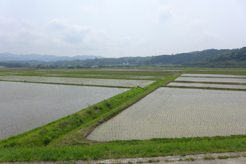P1100800