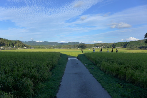 P1180270
