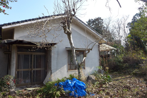 P1060347