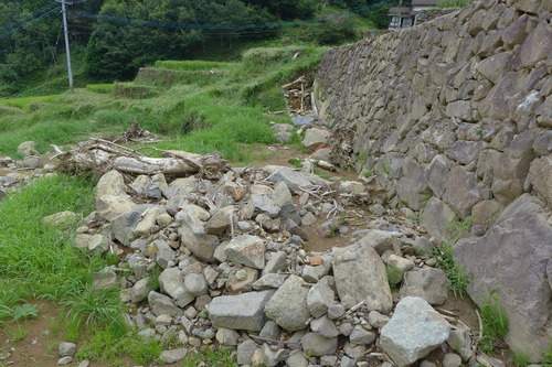 P1200236
