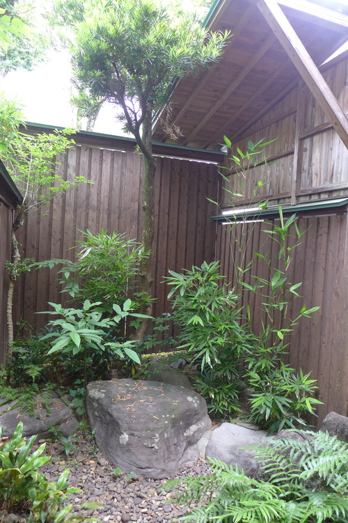 P1130719