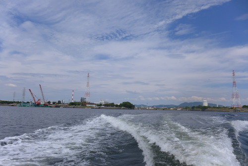 P1560699