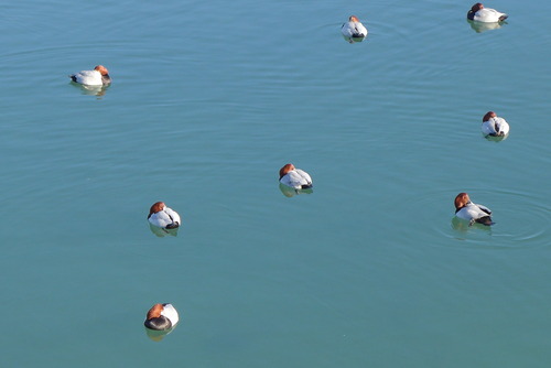 九州大学大学院芸術工学府藤原惠洋研究室における博士学位請求論文公聴会のご案内