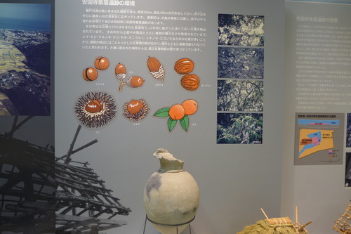 P1400233