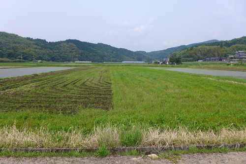 P1100817