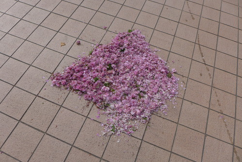 P1040996