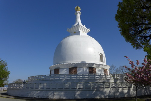 P1130328