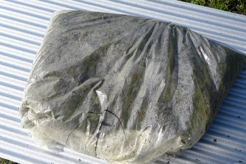 P1150862
