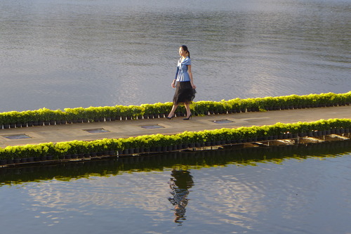 P1530487