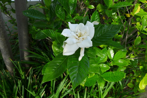 P1100611