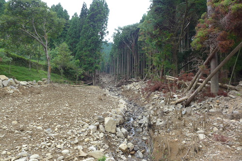 P1200239