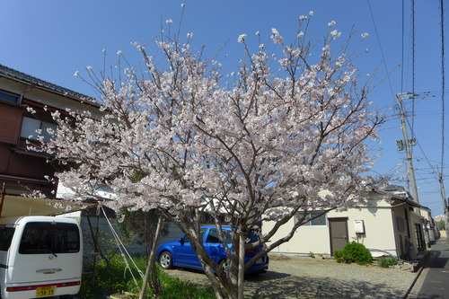 P1060110