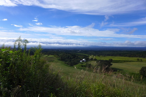 P1210549