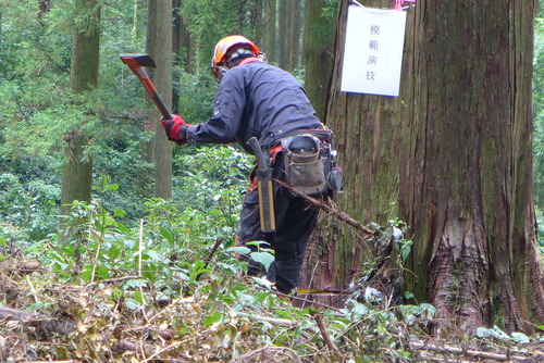 2020年9月11日（金）第19回熊本県林業技能競技会を見学踏査！