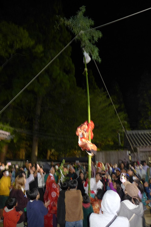 P1240339