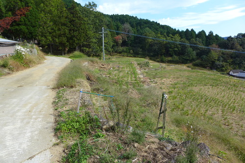 P1250889