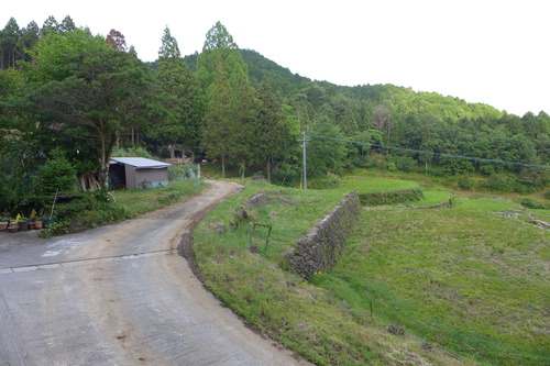 P1140087