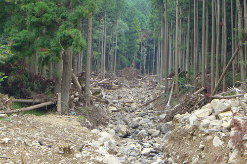 P1200241