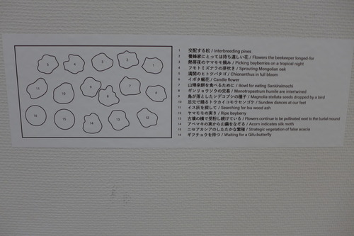P1360427