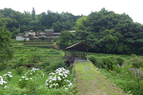 P1090208 のコピー