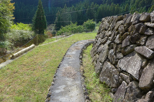 P1250792