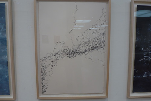 P1010117