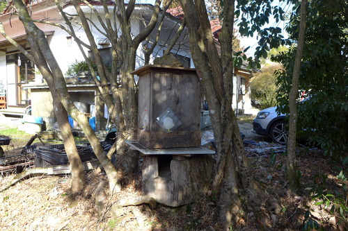 P1050565