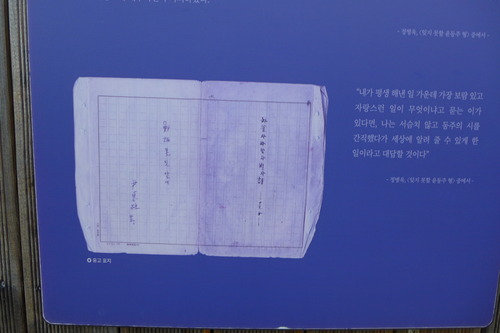 P1050702