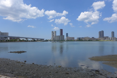 20250903久しぶりのホームタウン香椎浜！嗚呼海浜風情、観察ゴコロが挑発されるう！！