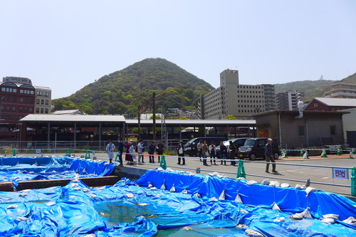 P1110389
