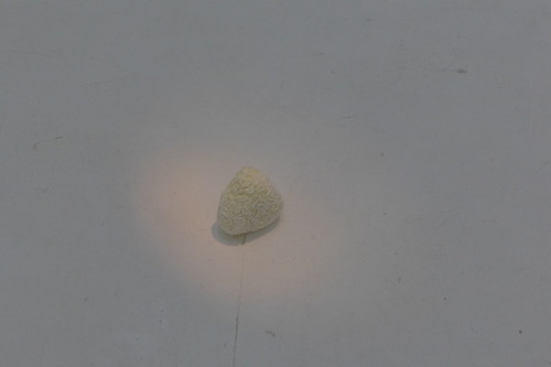 P1060467