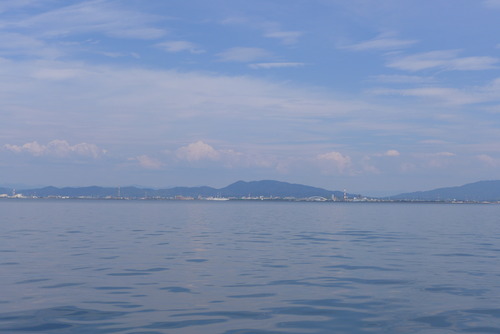 P1560753