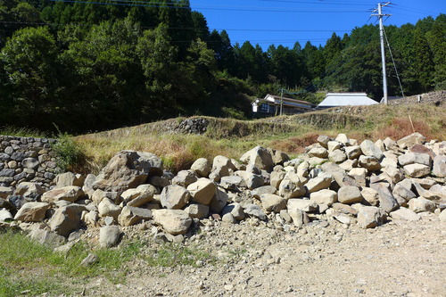 P1260126
