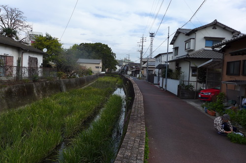 P1500258