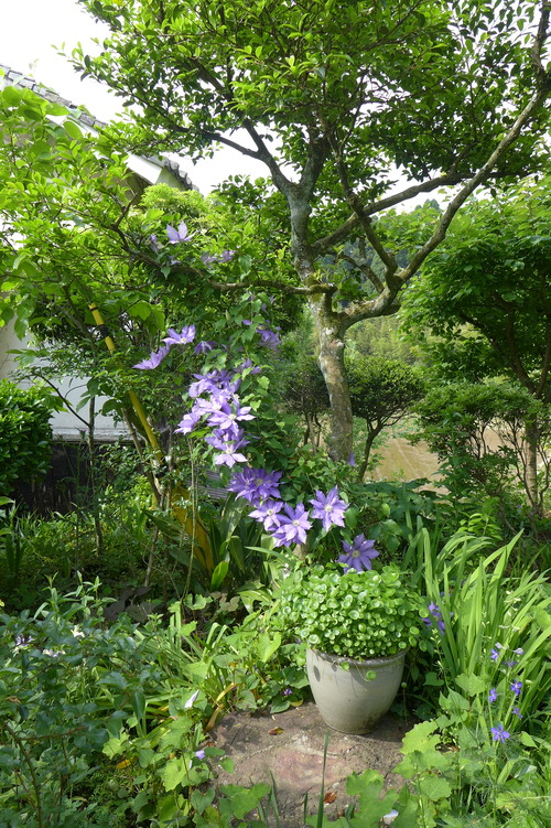 P1150347