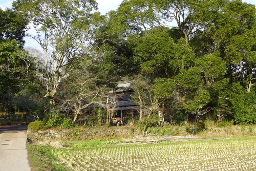 P1030244