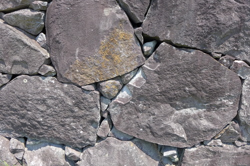 P1140897