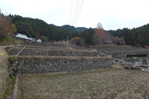 P1030257のコピー
