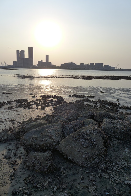 P1040671