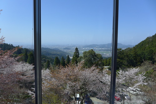 2024年4月1日（月）若杉山「わらび野」にて過ごす！