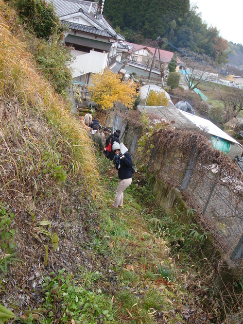DSC08305