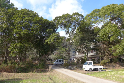 P1060355
