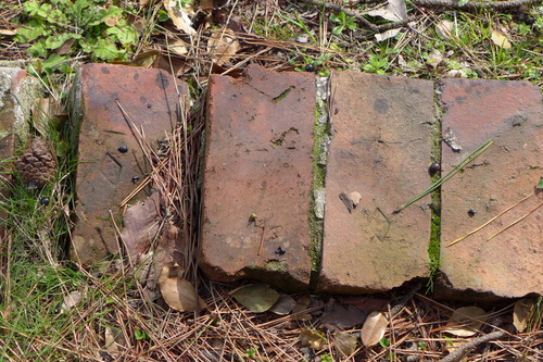 P1090226