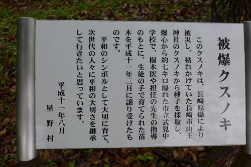 P1140304のコピー