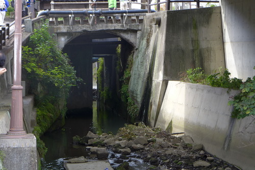P1500259