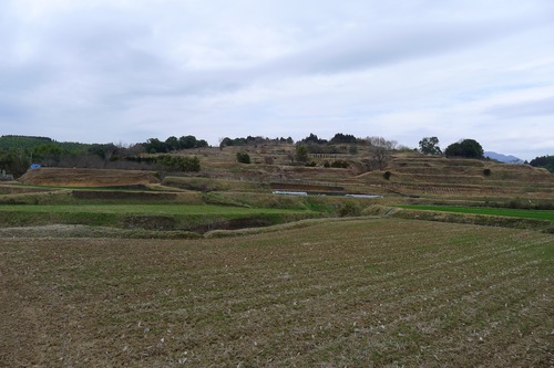 P1100062