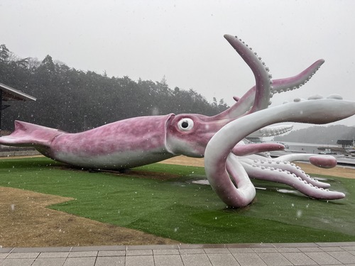 NPO法人リエラ松永鎌矢代表・河井昌猛さんによる令和6年能登半島被災地支援活動レポート13