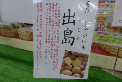 P1300671