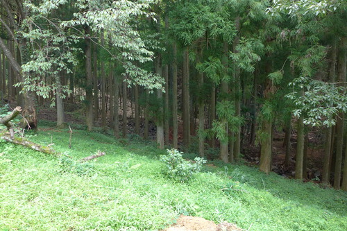 P1200257