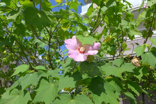 P1200889